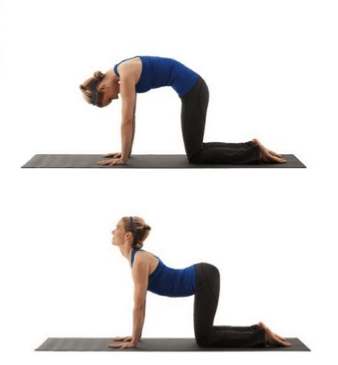stretching yoga physio