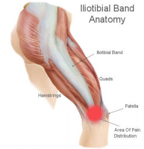 ITB or iliotibial band anatomy